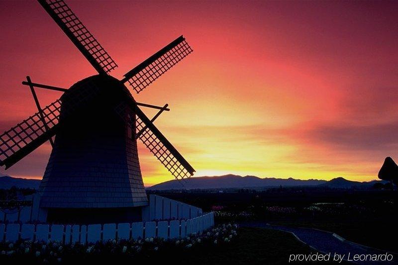 Tulip Inn لايدردورب المظهر الخارجي الصورة